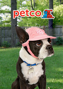 petco dogs and pets
